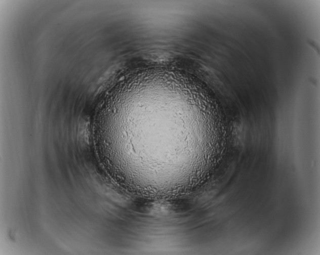 X0000103430612200809191702