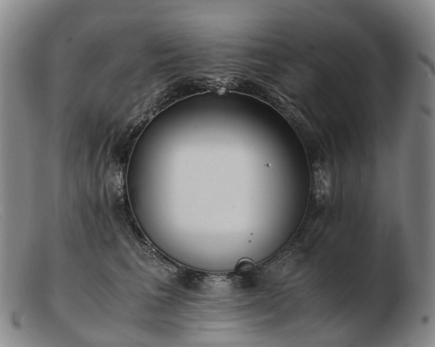 X0000103430613200809191702