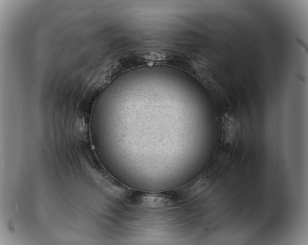 X0000103430614200809191702