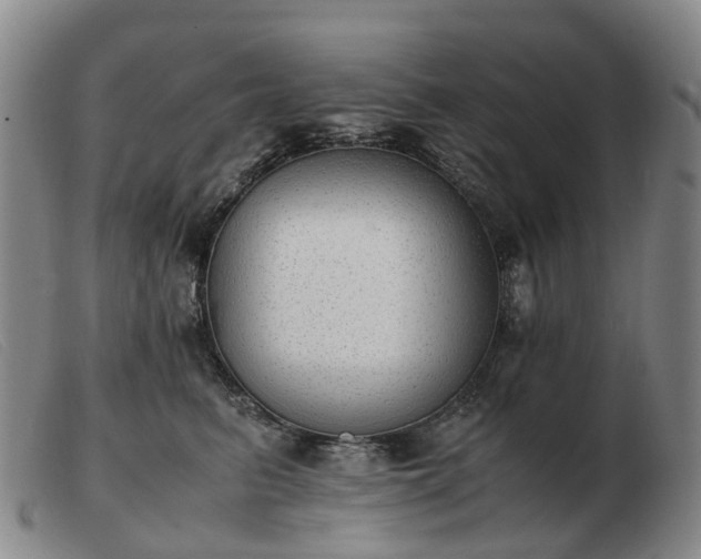 X0000103430615200809191702
