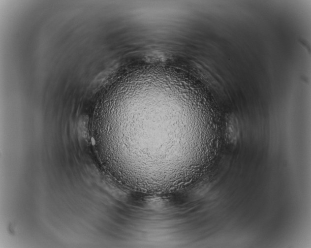 X0000103430616200809191702