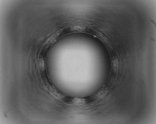 X0000103430617200809191702