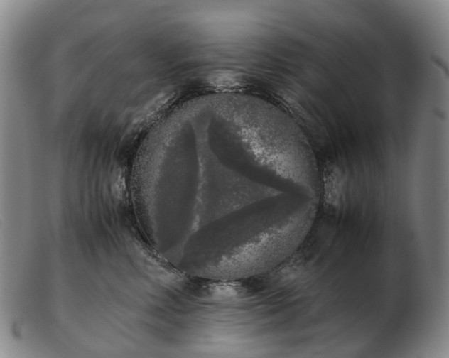 X0000103430618200809191702