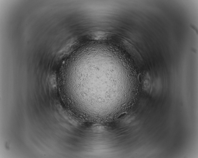 X0000103430620200809191702