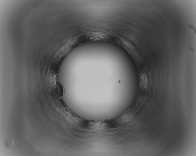 X0000103430621200809191702