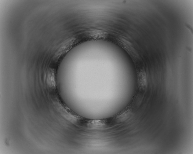 X0000103430622200809191702