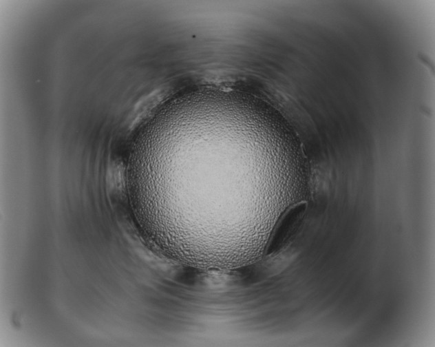 X0000103430623200809191702