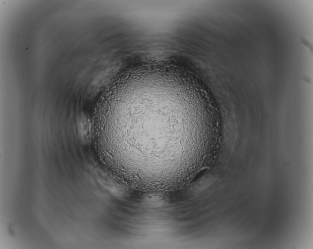 X0000103430624200809191702