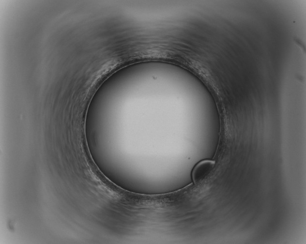 X0000103430625200809191701