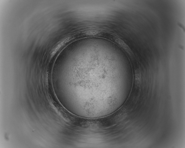 X0000103430626200809191701