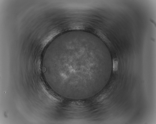 X0000103430627200809191701