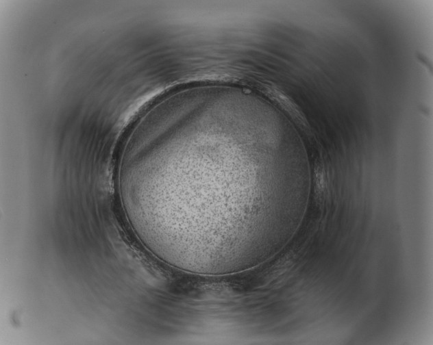 X0000103430628200809191701