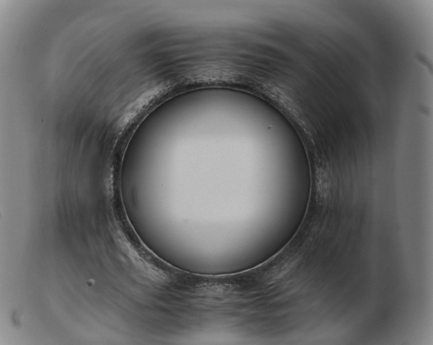 X0000103430629200809191701