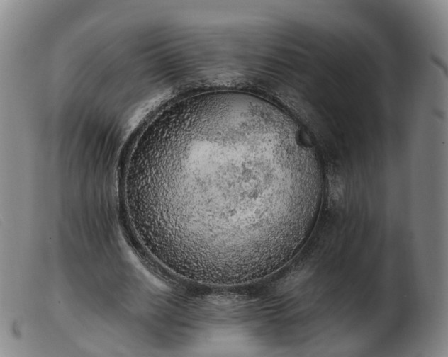 X0000103430630200809191701