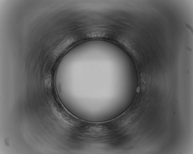 X0000103430631200809191701
