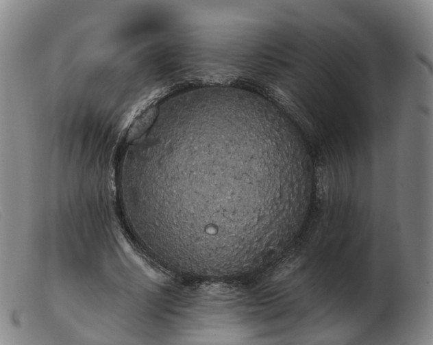 X0000103430634200809191702