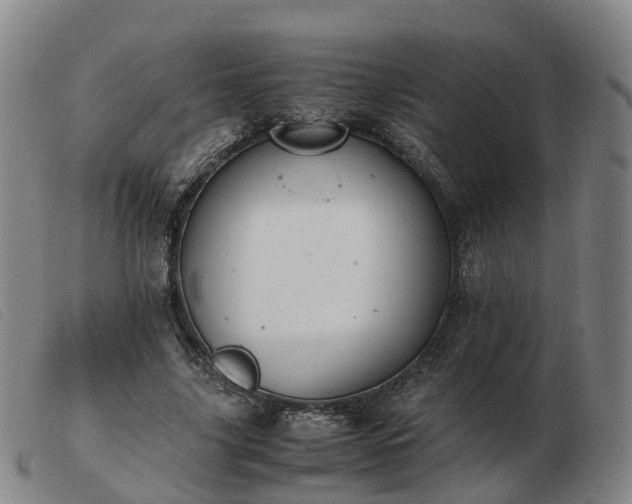 X0000103430635200809191702
