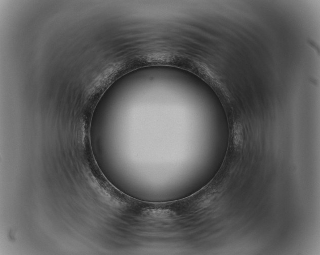X0000103430637200809191702