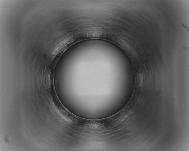 X0000103430638200809191702