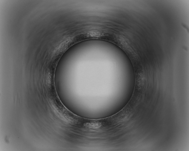 X0000103430639200809191702
