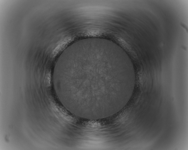 X0000103430640200809191702