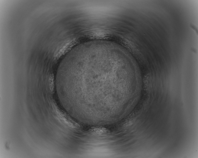 X0000103430642200809191702