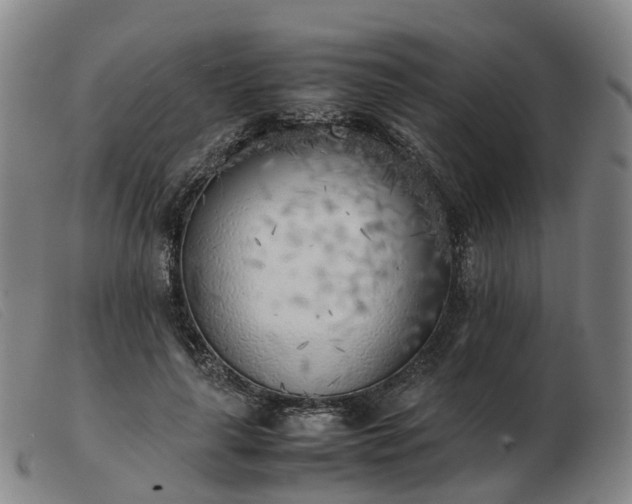 X0000103430643200809191702