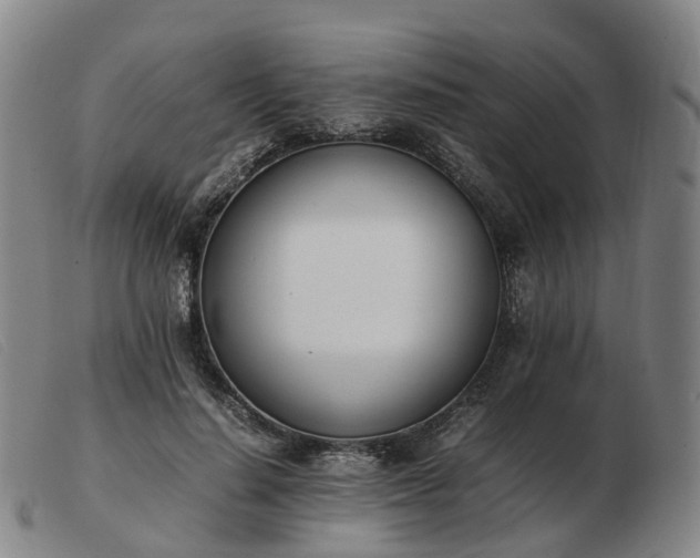 X0000103430644200809191702