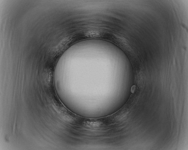 X0000103430645200809191702