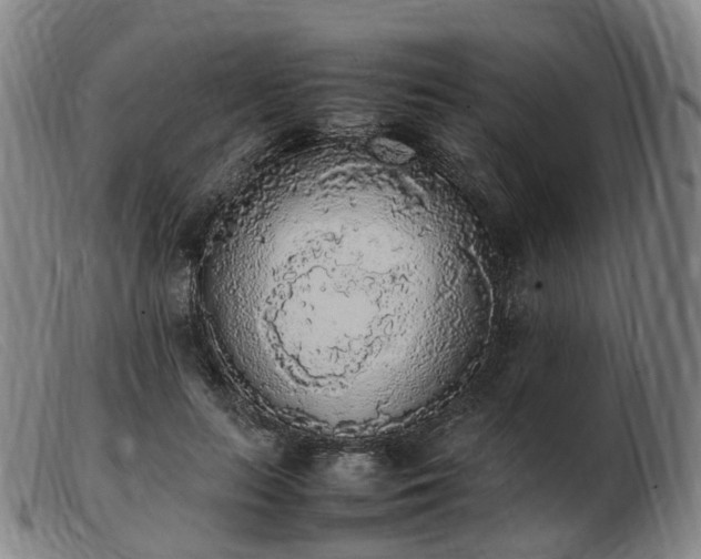 X0000103430647200809191702