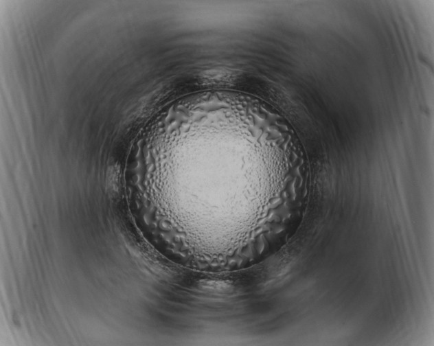 X0000103430649200809191702