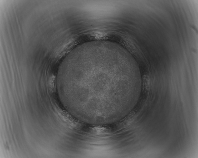 X0000103430650200809191702