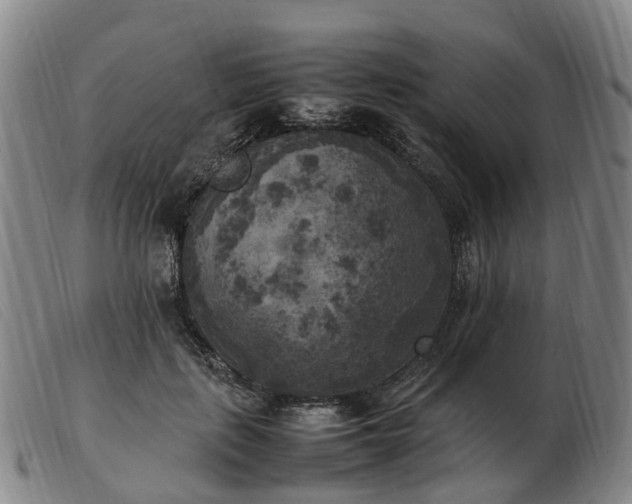 X0000103430651200809191702