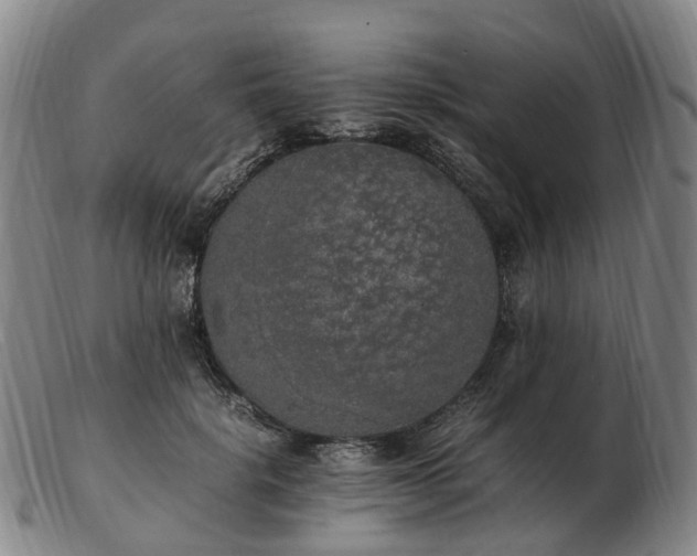 X0000103430652200809191702