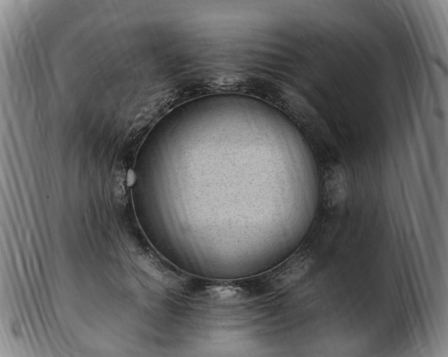 X0000103430654200809191702