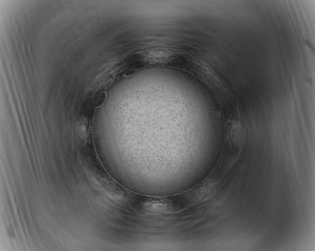 X0000103430655200809191702