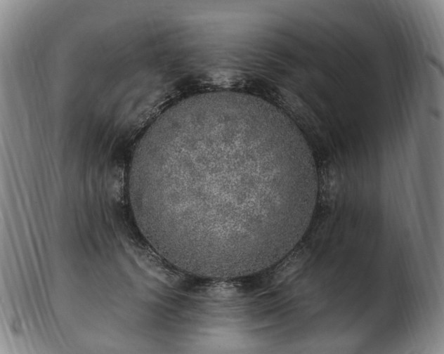 X0000103430656200809191702