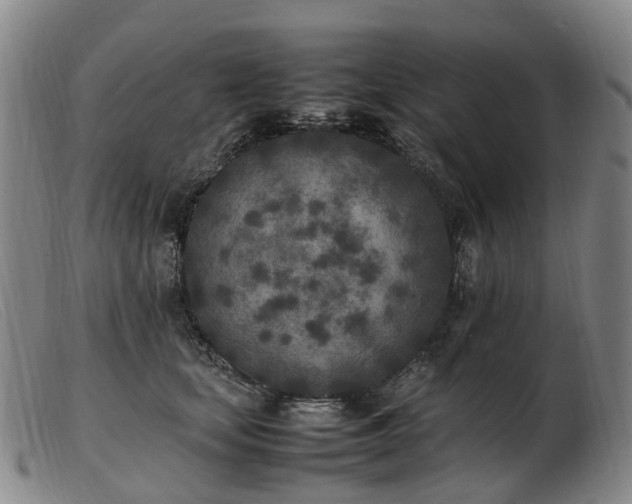 X0000103430659200809191702