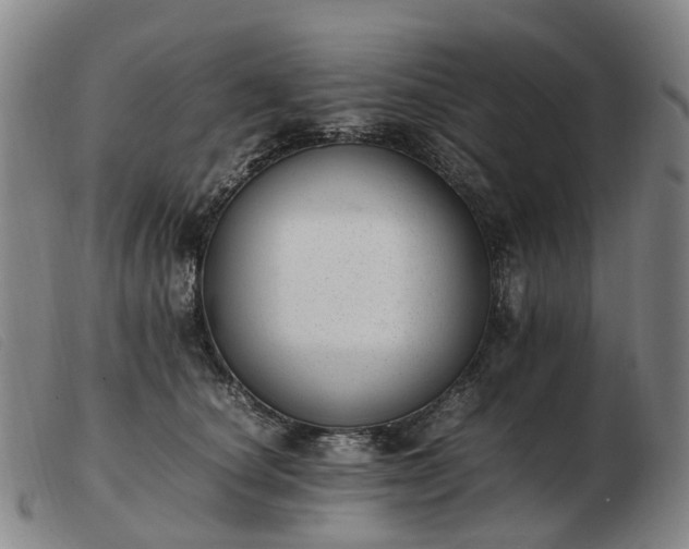 X0000103430660200809191702