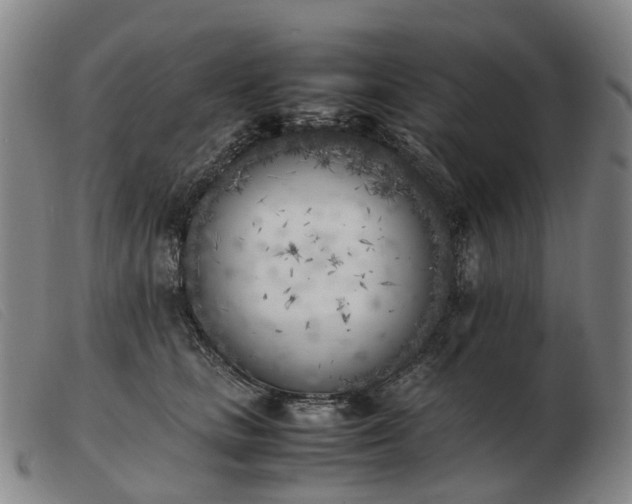 X0000103430661200809191702