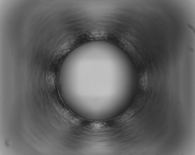 X0000103430662200809191702