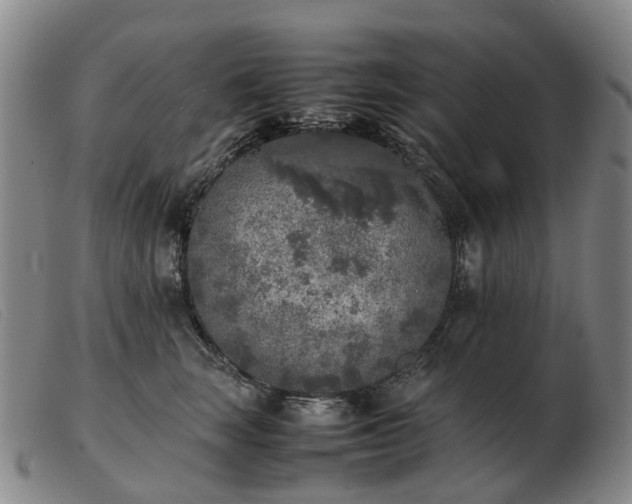 X0000103430663200809191702