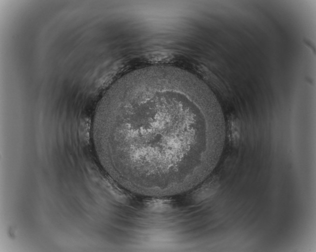 X0000103430664200809191702