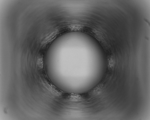 X0000103430666200809191702