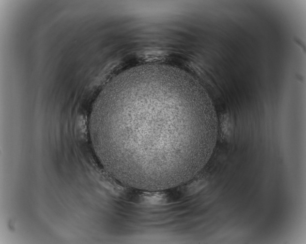 X0000103430667200809191702