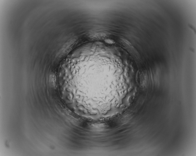 X0000103430669200809191702