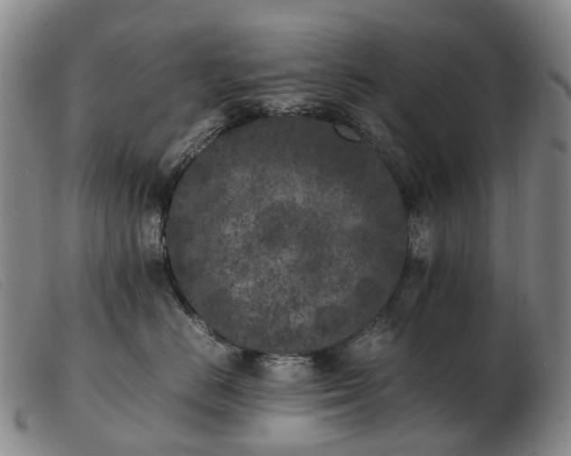 X0000103430670200809191702