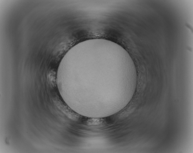 X0000103430672200809191702