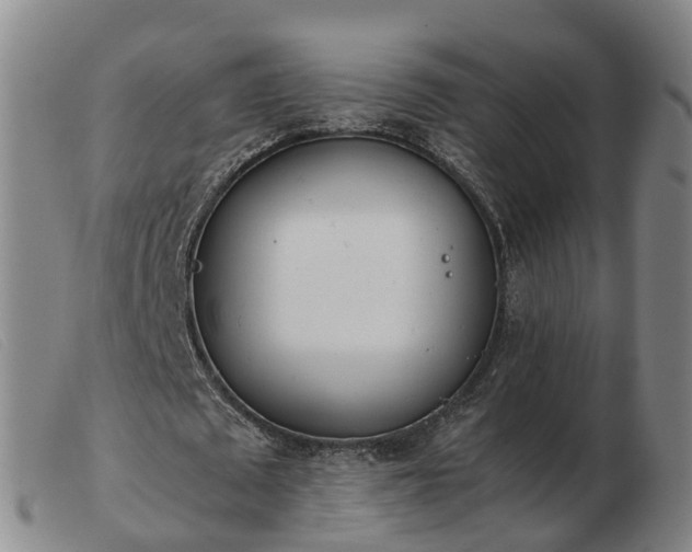 X0000103430673200809191701