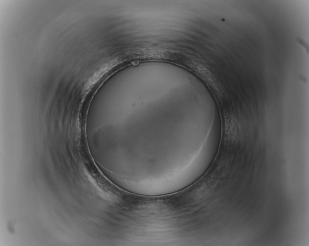 X0000103430674200809191701
